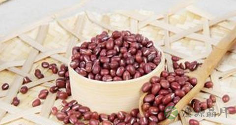 吃什么祛除湿气