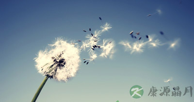 清热解毒中药配方