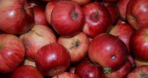 空腹能否吃苹果