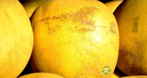 抗抑郁药物副作用