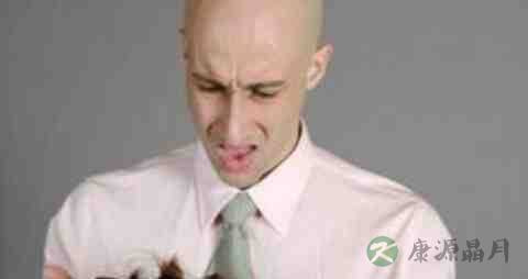 脂溢性脱发吃什么好