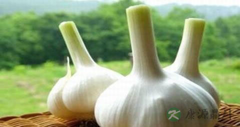 枸杞泡茶感冒能喝吗