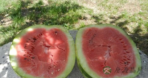 伤风感冒吃什么水果好