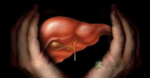肝脏最主要的功能