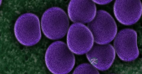 预防乙肝的有效措施 预防乙肝的有效措施