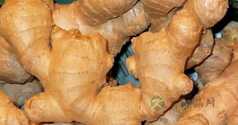 乙肝吃什么中药调理