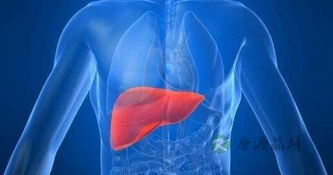 急性甲肝症状有哪些