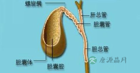 胆息肉病变治疗方法