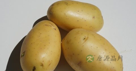 胃炎和十二指肠溃疡吃什么好得快