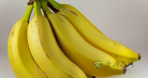 十二指肠溃疡吃什么食物好