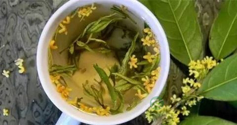 怎么制作桂花茶