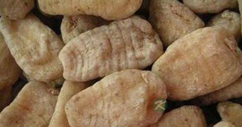 鲜天麻的食用方法