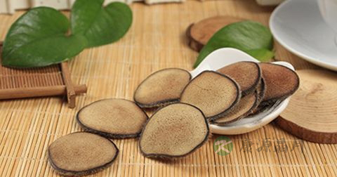 鹿茸可以泡水喝吗