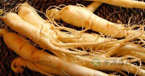 西洋参怎样切片