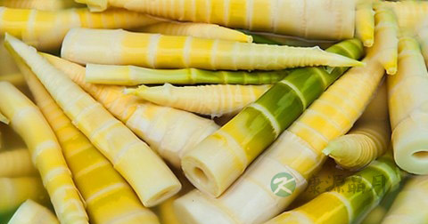 吃什么阳痿 吃什么阳痿