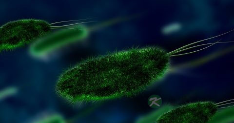 湿疹根治方法有哪些 湿疹根治方法有哪些