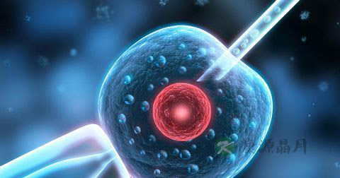 冷冻精子会不会变质？可以保存多久？