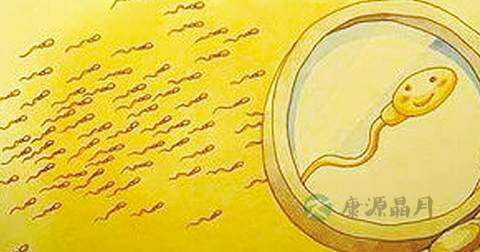 男性备孕期间注意事项 男性备孕期间注意事项