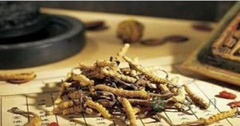 中医治疗早泄药方