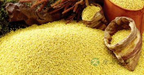 吃什么可以治早泄