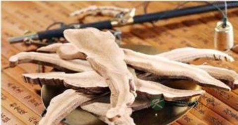 中药治疗早泄阳痿