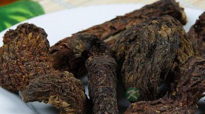 肉苁蓉和锁阳哪个好