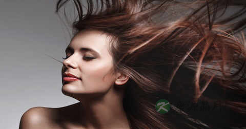 为什么掉头发 为什么掉头发