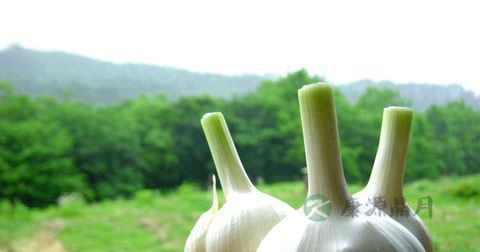 吃蒜增男人味!最健康的大蒜食谱大全 吃蒜增男人味!最健康的大蒜食谱大全