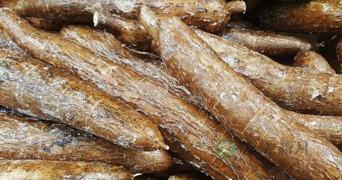 口服延时药有危害吗