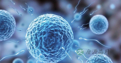 精子成活率低的原因 精子成活率低的原因