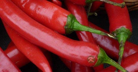 额头出油怎么办 额头出油怎么办