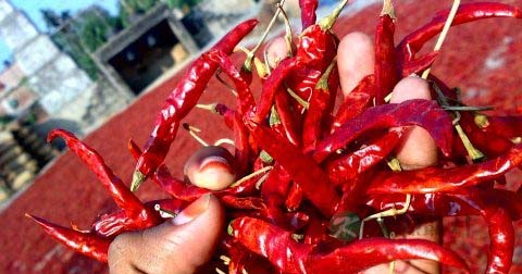 阴茎疱疹治疗时需要注意什么