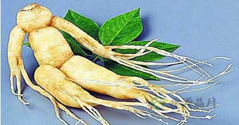 中医治疗男性早泄