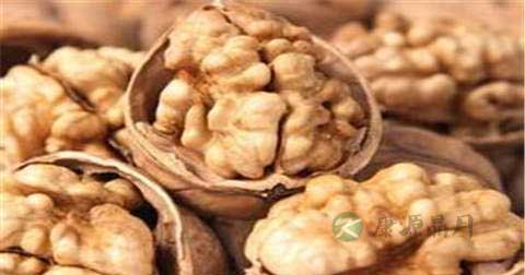 男人补肾固精的食物