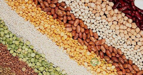 壮阳保健品有哪些