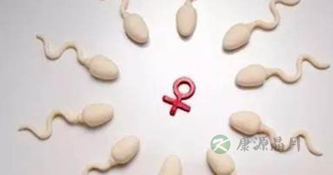 男性备孕期间注意事项 男性备孕期间注意事项