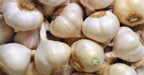 男人有哪些养生食谱