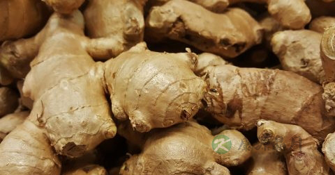 男人外阴痒用什么药 男人外阴痒用什么药