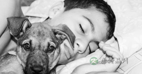 男人打呼噜的原因 男人打呼噜的原因