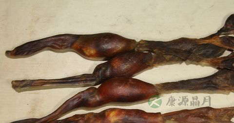 海狗鞭怎么吃？海狗鞭食用方法