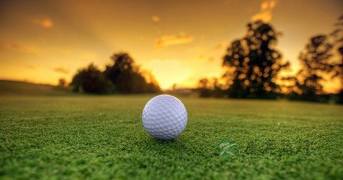 男人早泄看什么科