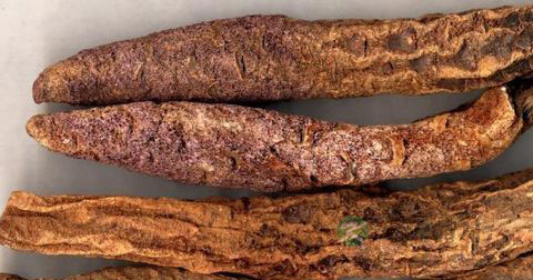 锁阳怎么泡酒可以壮阳？