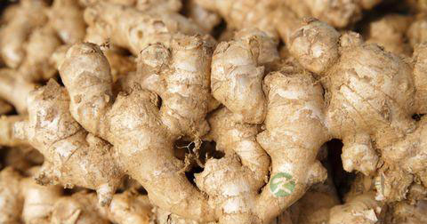 生姜怎么用最补肾