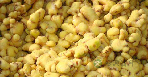 生姜怎么用最补肾