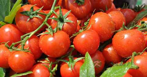 吃什么男人可以持久