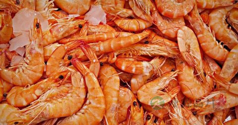 睾丸外皮有疙瘩怎么办 睾丸外皮有疙瘩怎么办