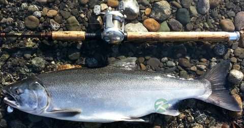 男人的更年期有哪些表现 男人的更年期有哪些表现