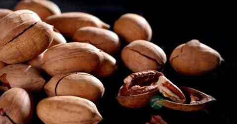 怎么治疗肾亏早泄