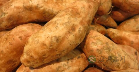 壮阳药物有哪些 壮阳药物有哪些