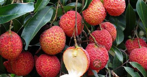 早泄好治吗 早泄好治吗